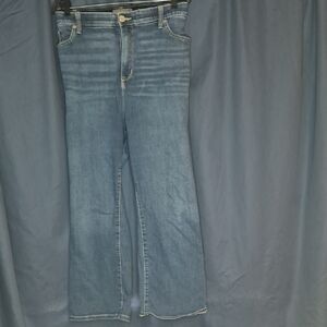 Torrid Light Blue Flare Jeans